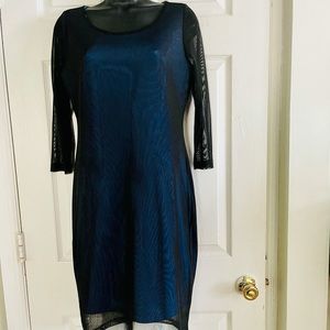 Carmen mesh above knee dress